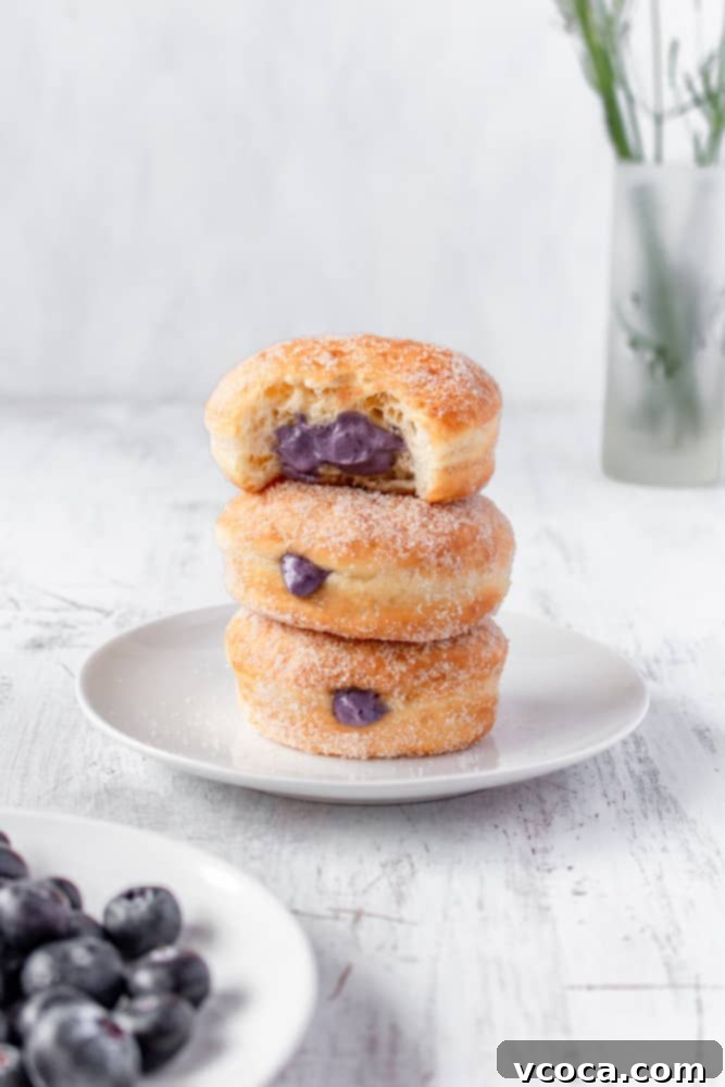 A plate of two perfectly filled blueberry cream cheese doughnuts, ready to be enjoyed.