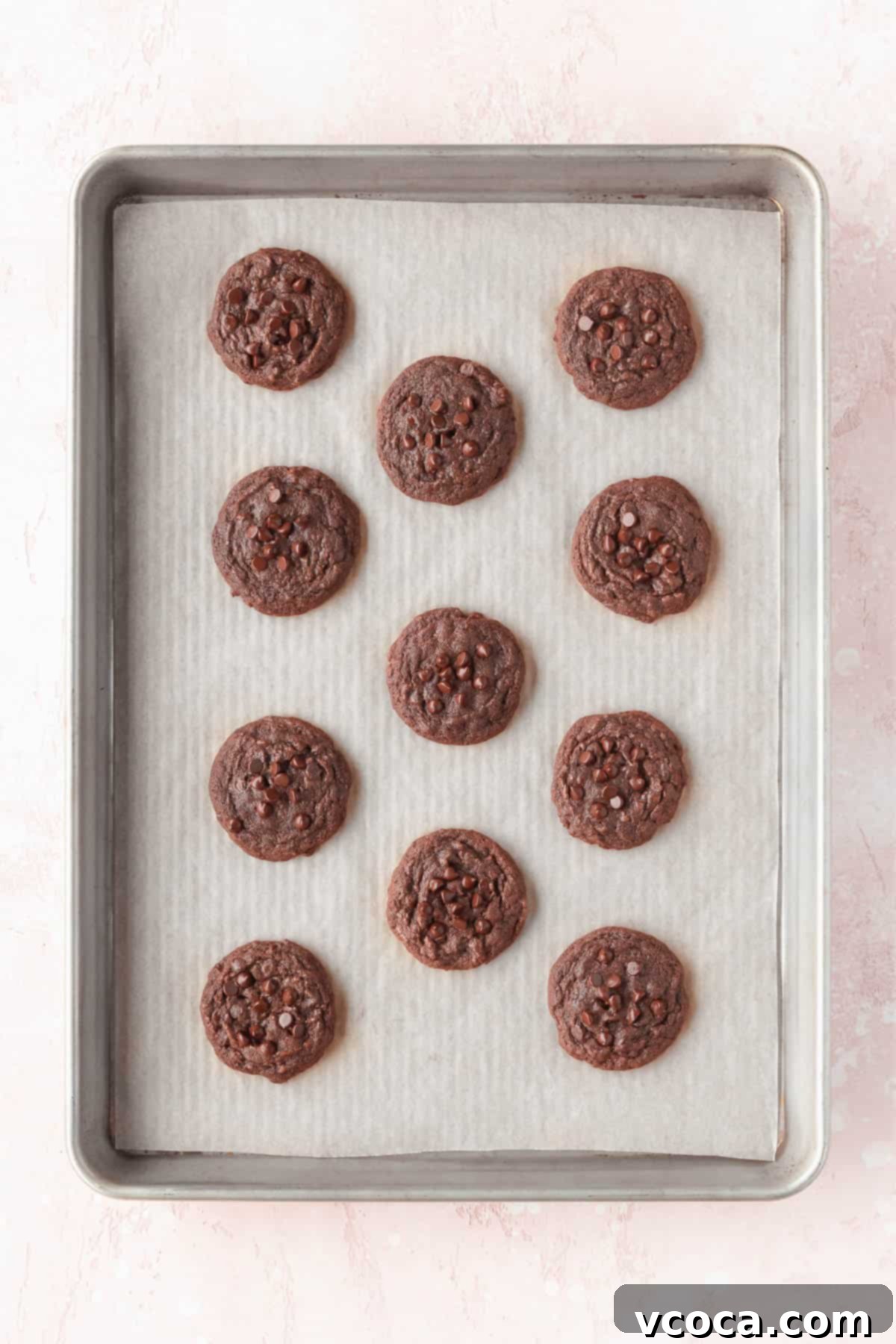 Chocolate cookies on a baking sheet after coming out of the oven, still warm and slightly soft.