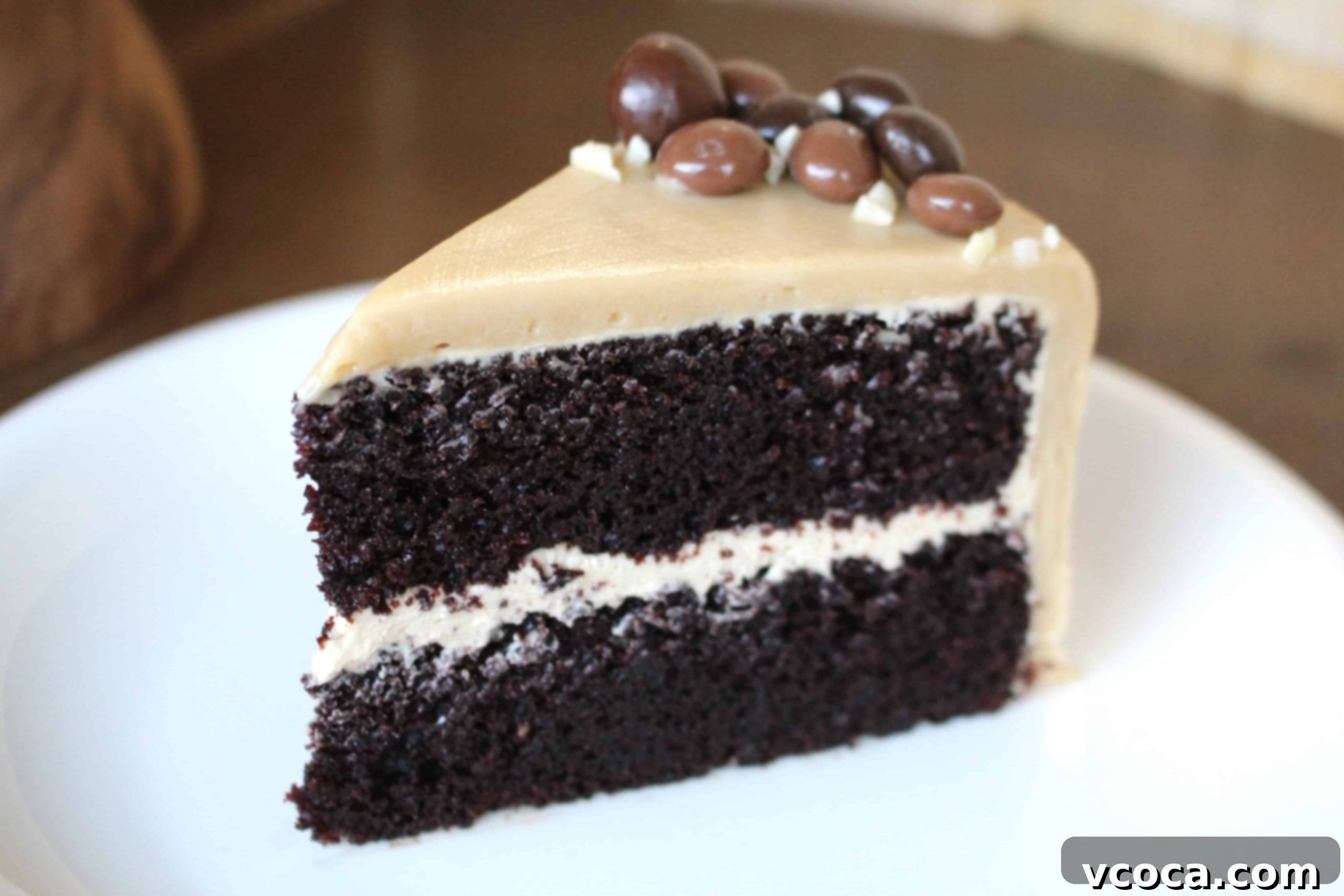 Decadent Mocha Chocolate Cake 2 Beautifully decorated Chocolate Mocha Layer Cake for a birthday celebration